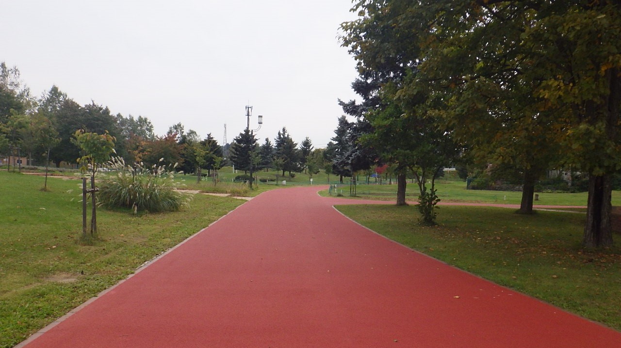 忠和公園ジョギングコース整備 荒井建設株式会社